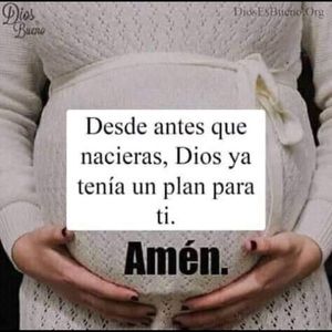 Meet your Posher, Rosa